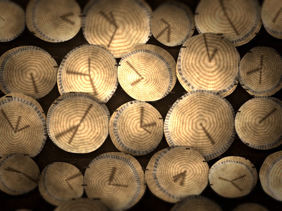 Для отопления — дрова в Полушкине